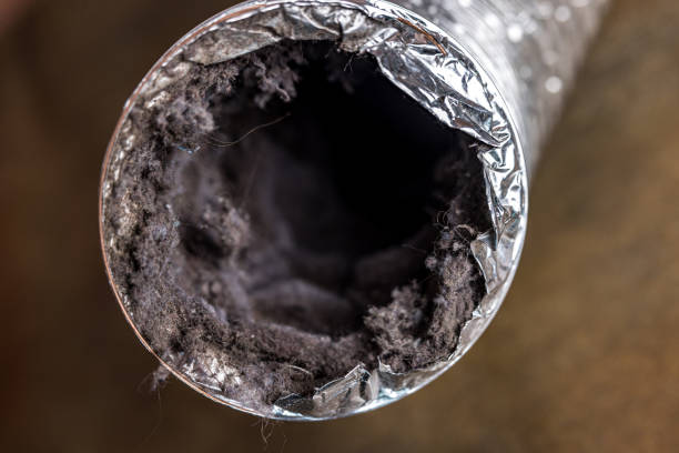 Best HVAC Maintenance and Cleaning  in Guntown, MS