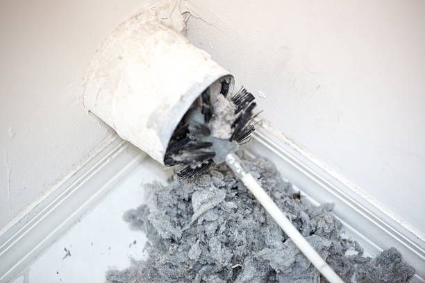Best Ductwork Cleaning Services  in Guntown, MS